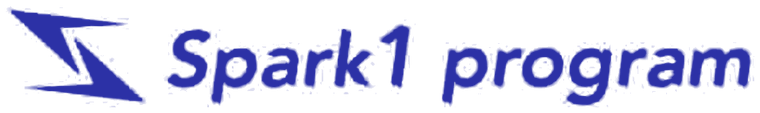 Spark1 program
